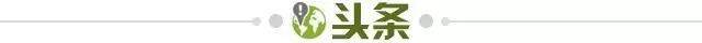 游戏规则模拟器-【早报】女足2-8荷兰！3战丢17球！全网怒喷贾秀全...
